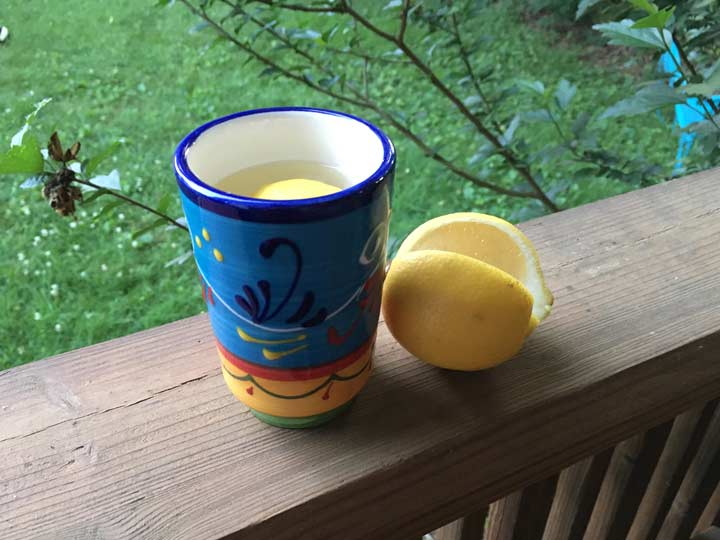 mug of hot water with slice of lemon in it