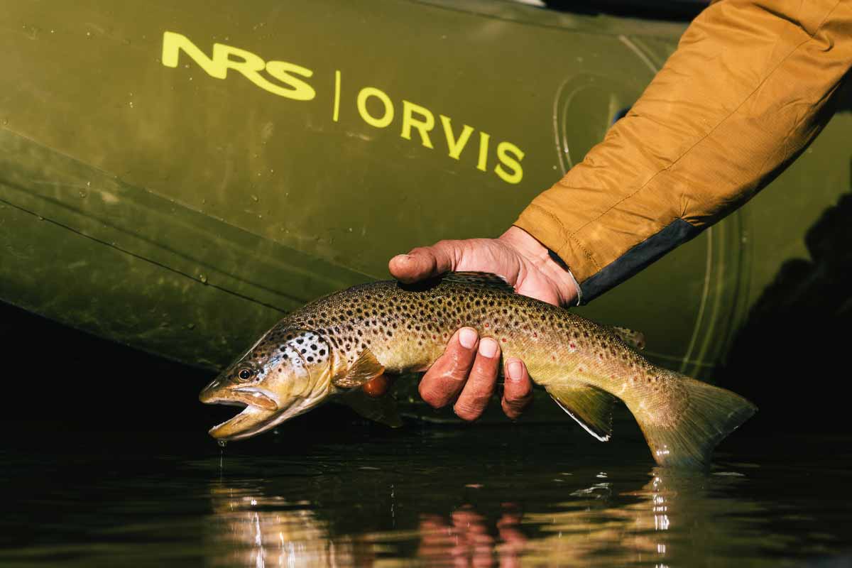 A large fish is pulled from the river, off the side of the Orvis Approach.