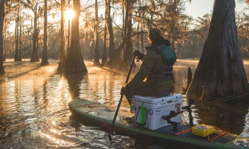 Fishing the Unknowns of Caddo Lake
