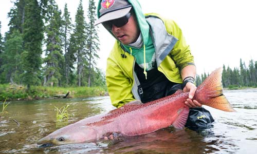 What Lies Beneath the Koktuli River