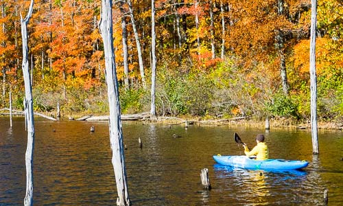 An Ozarks Paddling Mission with a Photography Problem