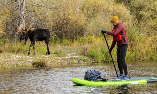 A Glamorous SUP Trip Through the Bitterroot Valley